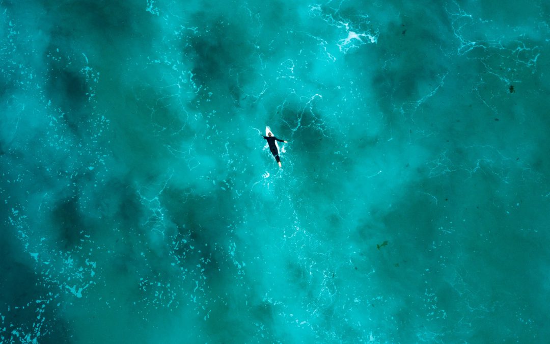 Heilzaam met een voedende kracht: de marine phytoplankton